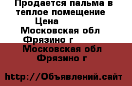 Продается пальма в теплое помещение › Цена ­ 5 000 - Московская обл., Фрязино г.  »    . Московская обл.,Фрязино г.